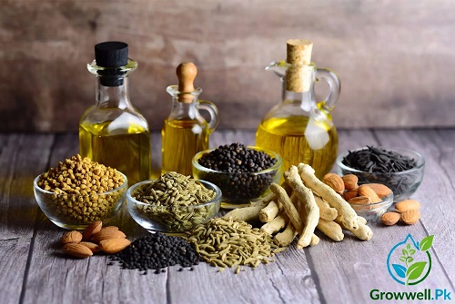 breast size increase